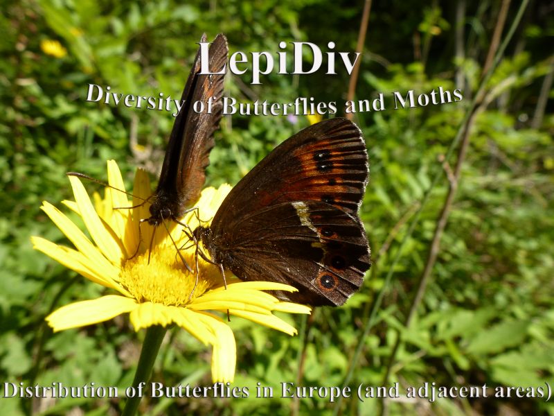 LepiDiv LepiDiv