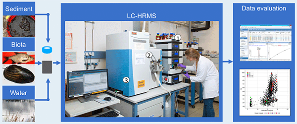 Target and non-target LC-HRMS screening in complex samples