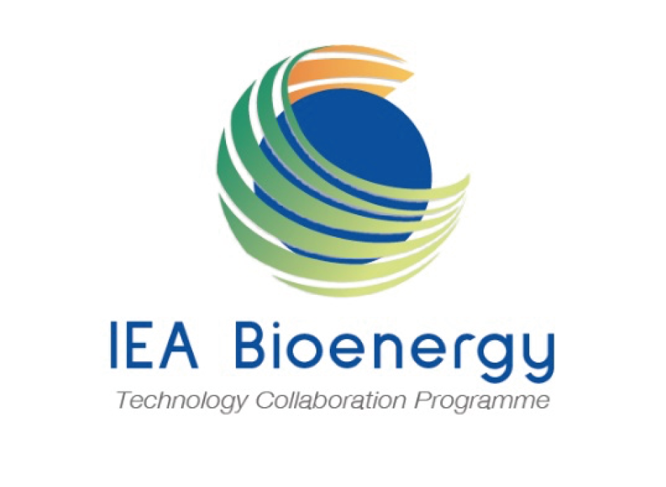 IEA Bioenergy Deployment of BECCS/U value chains, Technological pathways, policy options and business models, IEA Bioenergy: Task 40, June 2020