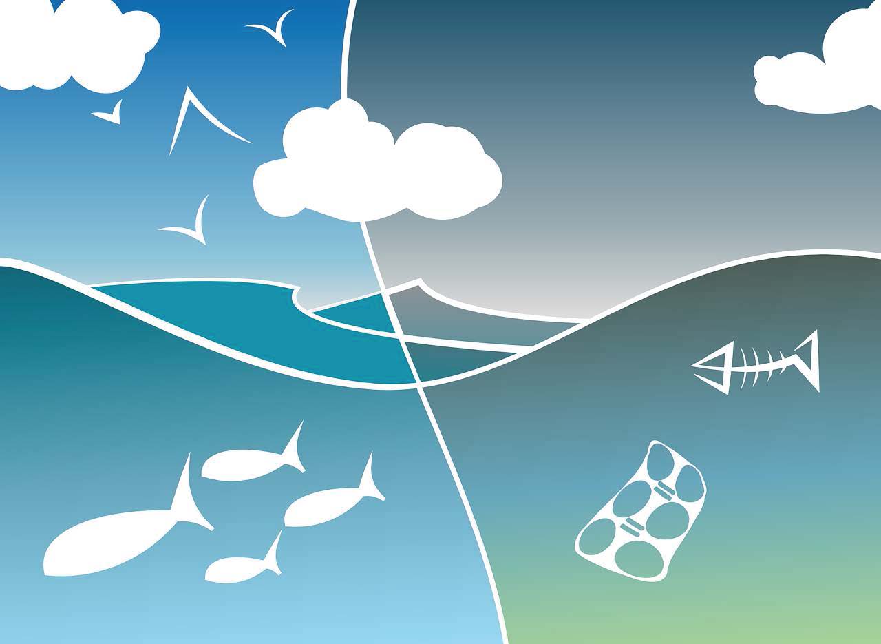 Grafik zur Umweltverschutzung im Meer durch Plastik, Quelle: pixabay