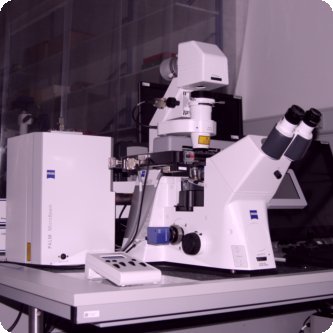Zeiss Palm laser-microdissection system