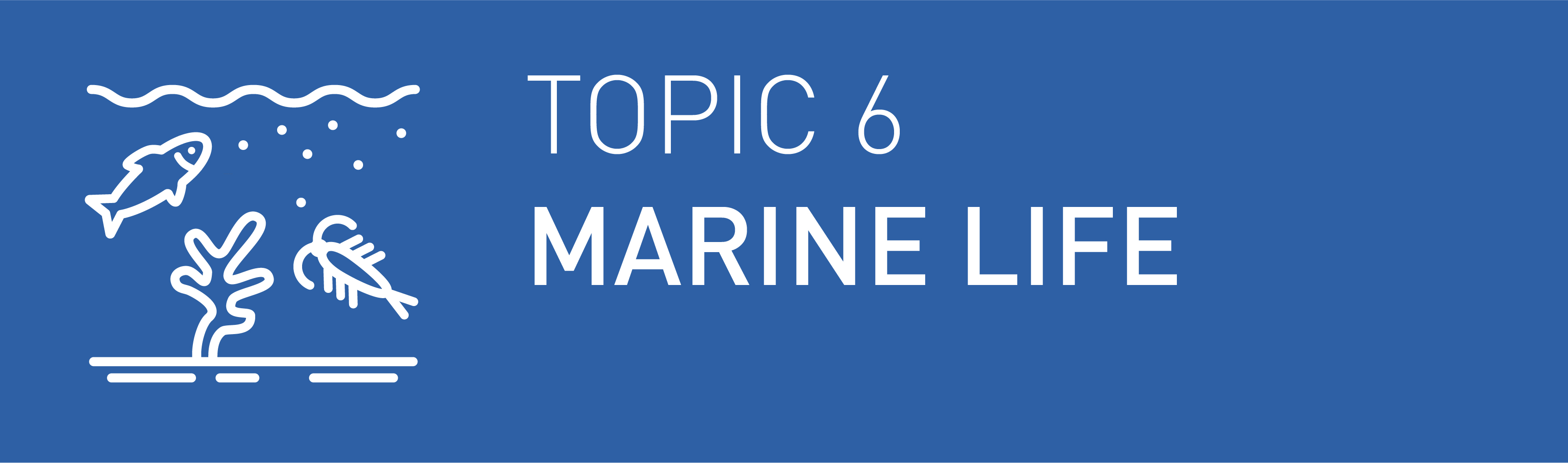 Icon Topic 6 Marine Life