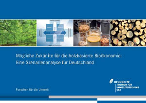 Cover Bioenergie-Broschüre