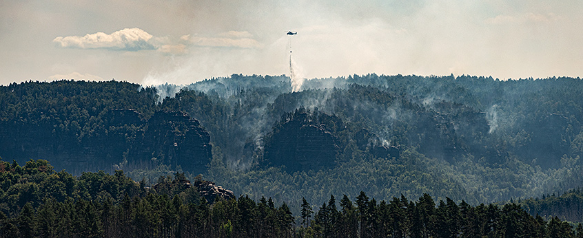 Waldbrände in der Sächsischen Schweiz 2022. Photo: André Künzelmann/UFZ