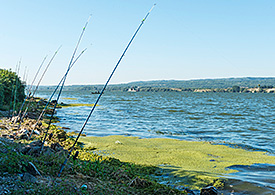 Anglerruten am Donauufer. Foto: André Künzelmann/UFZ