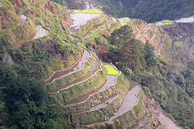 The Banaue Rice Terraces are 2000-year old terraces that were carved into the mountains of Ifugao in the Philippines