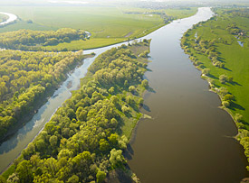 Saalemündung in die Elbe - Luftbild