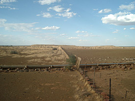 Übernutzte vs. geschonte Weideflächen in Namibia