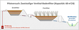 Grafik: Verfahrensprinzip der vertikalen Bodenfilter zur Reiningung von kontaminierten Grundwasser