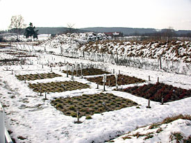Experiment mit Flächen im Botanischen Garten der Universität Bayreuth mit einer Bodenheizung