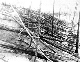1927 fotografierte Professor Leonid Kulik erstmalig gigantische Taigazerstörungen nach der Tunguska-Katastrophe.