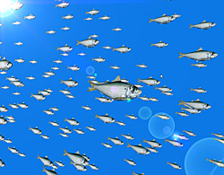Simulated fish swarm