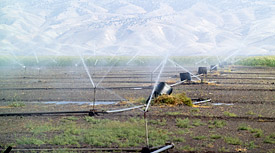 Bewässerungsanlage in ariden Gebiet