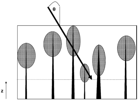 Pgap model schematic. The model estimates the probability of a beam at incident angle penetrating to a height z within the canopy of Poisson-distributed crowns and trunks. The beam can be downward-looking (shown here) or upward-looking. Crowns are modelled as porous ellipsoids and trunks as solid cones. For z > 0, we account for partial ellipsoids and cones. Crown and trunk heights and dimensions can assume any user-defined distributions.