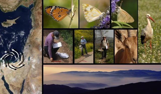 Front page of the webinar (online PPT presentation) on migratory butterflies and the environment in Israel, Guy Pe'er