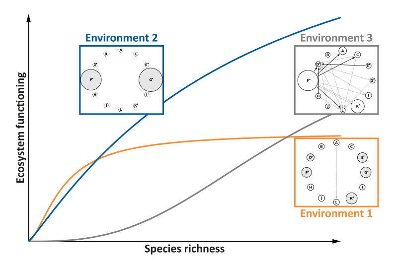 successional stages of benthic communities
