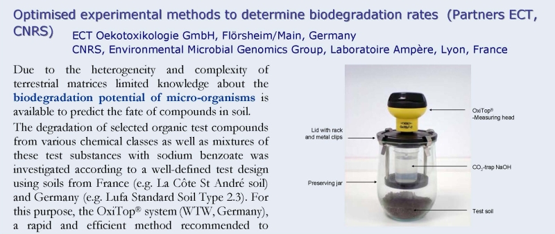 Biodegradation rates 1