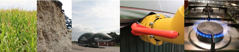 LCA of biomass-to-biogas