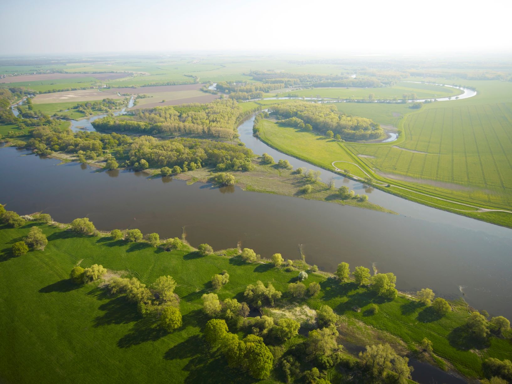 Saalemündung in die Elbe, Foto: André Künzelmann, UFZ
