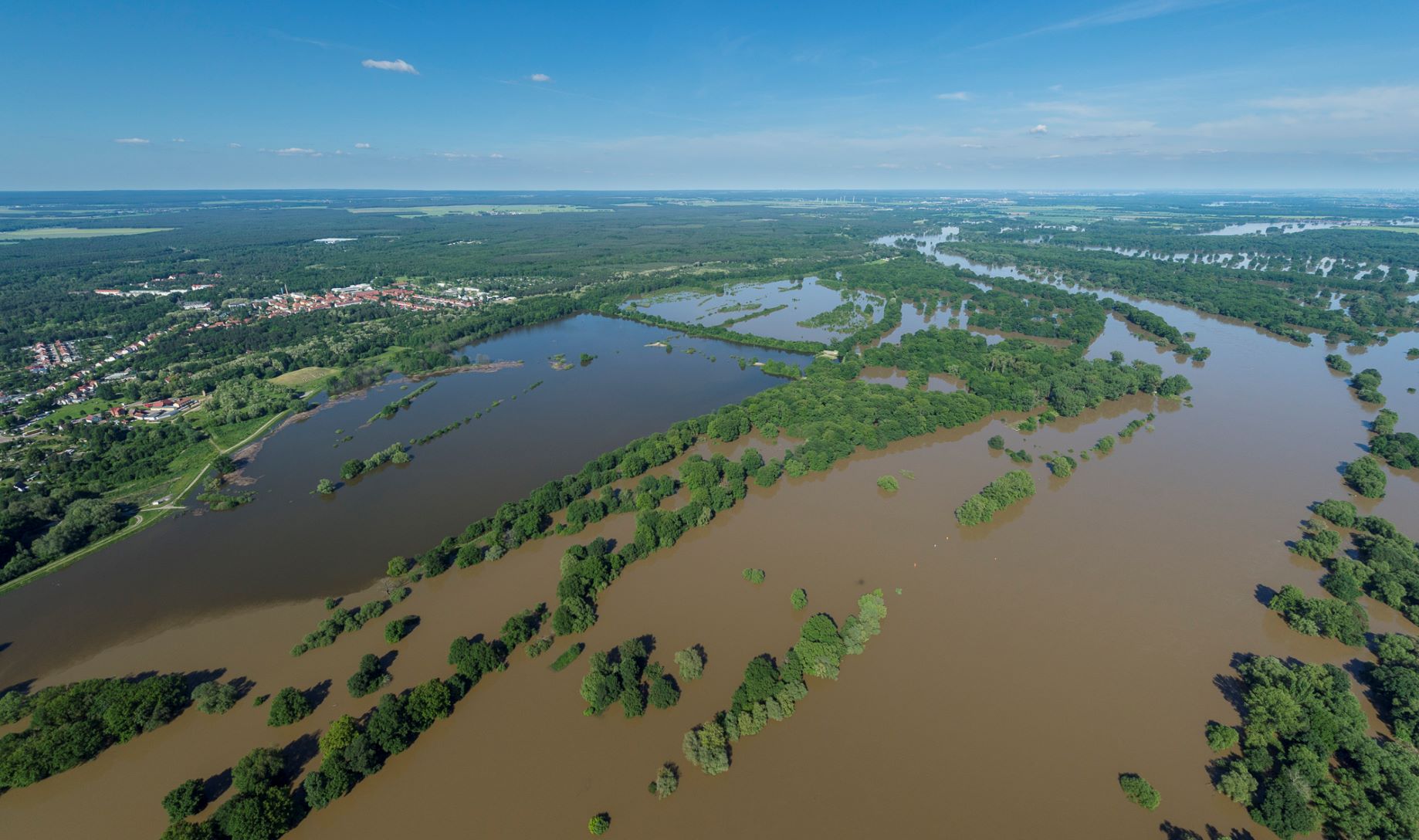 Elbe-Hochwasser im Juni 2013, Roßlauer Oberluch,, Foto: André Künzelmann, UFZ