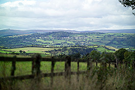 Meadows and pastures in Dartmoor in England  (André Künzelmann/UFZ)