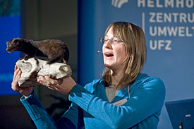 Wissenschaft verstehen 2008. Der Amerikanische Mink (Mustela vison) stand im Zentrum von Elke Schüttlers Vortrag.