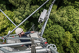Messungen am Wald-Klima-Observatorium. Foto: André Künzelmann, UFZ