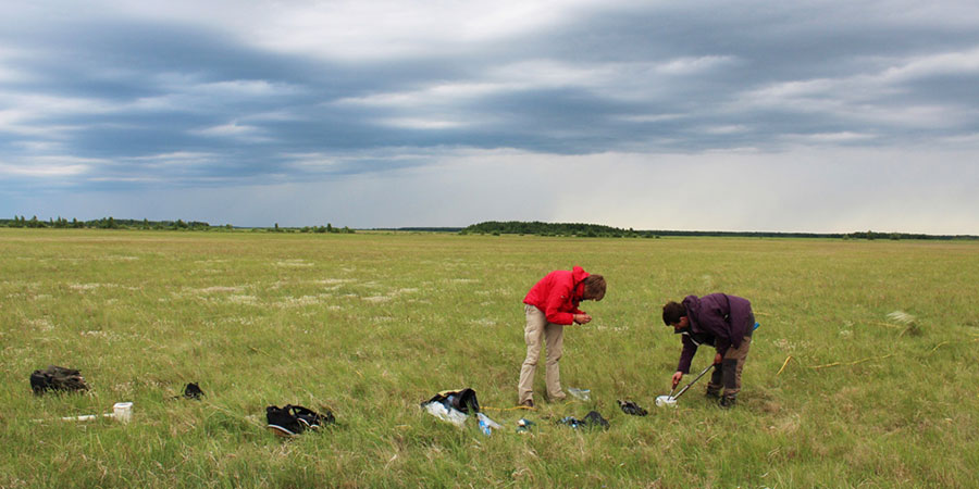 Botanical fieldwork conducted by Russian and German students Photo: T. Wertebach