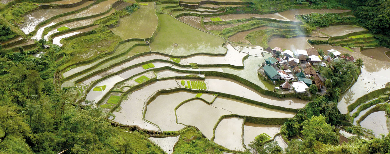 Die Reisterrassen und Wald. Vietnam Foto: J. Settele