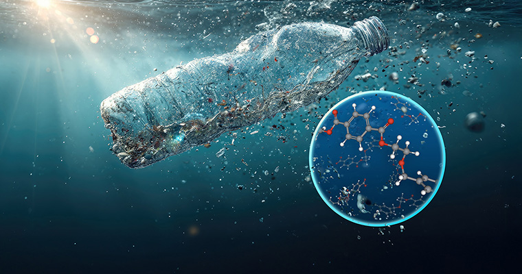 ©Photo: ittipol, Adobe Stock / Graphik: Sebastian Wiedling, UFZ