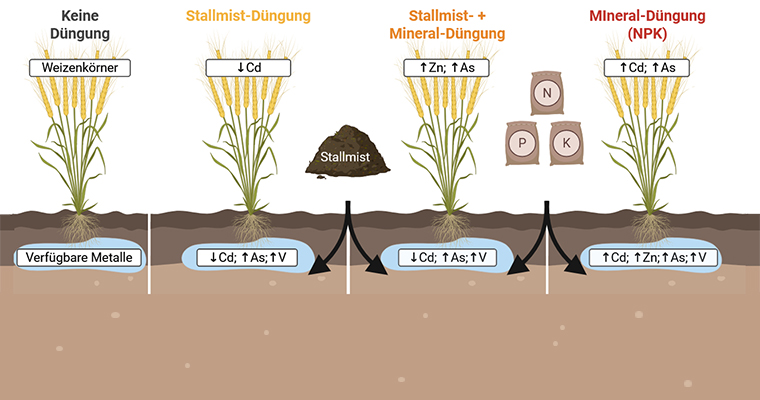 ©Aleksandra Pieńkowska / UFZ