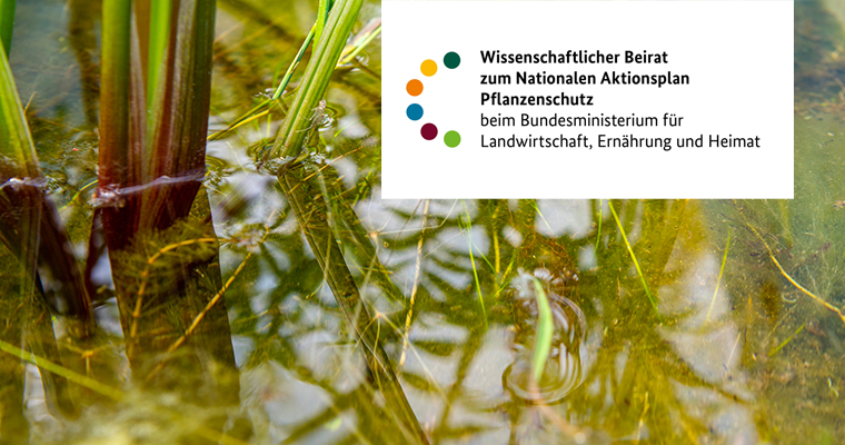 ©Foto: André Künzelmann / UFZ