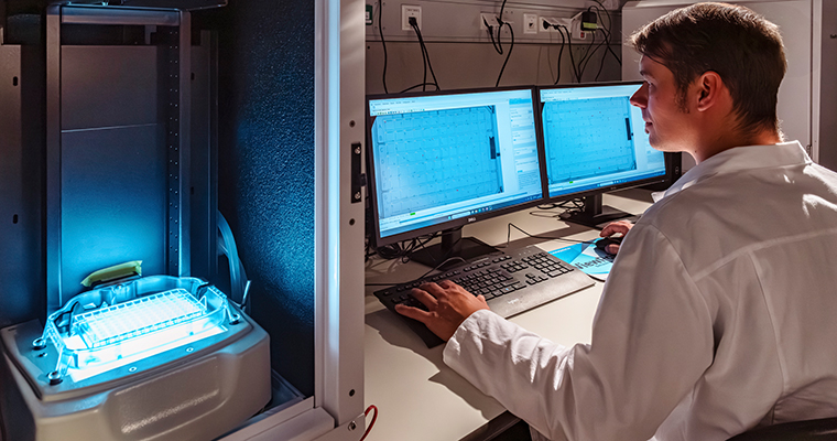 Dr David Leuthold uses the zebrafish model to test whether environmental chemicals have neurotoxic effects. ©André Künzelmann / UFZ