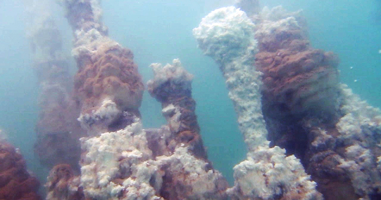 submarine chimneys ©UFZ 