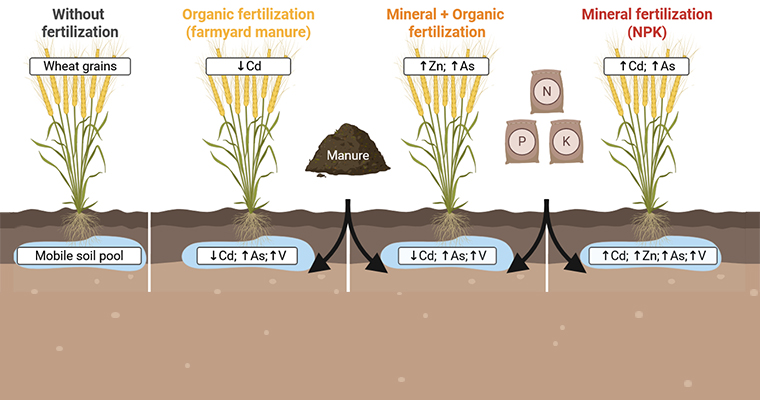 ©Aleksandra Pieńkowska / UFZ