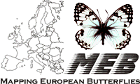 MEB logo MEB logo