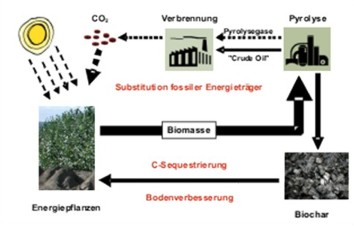 Das Biochar-Konzept Das Biochar-Konzept
