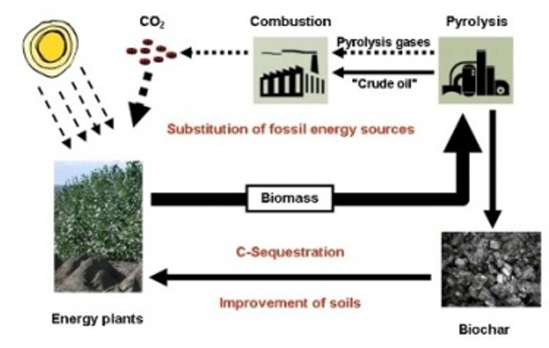 The Biochar concept