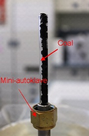 Mini-autoclave for HTC experiments