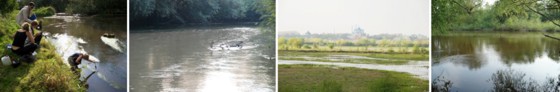 Messkampagne Messkampagne