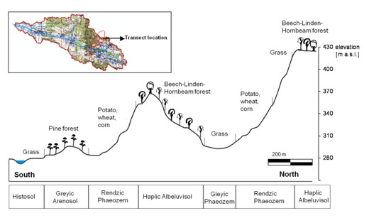 Catena in the headwater catchment in the study area