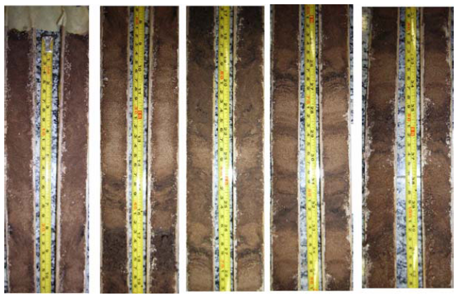 Sediment core