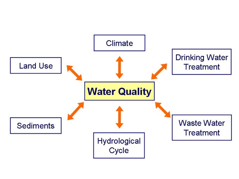 Water quality interrelations