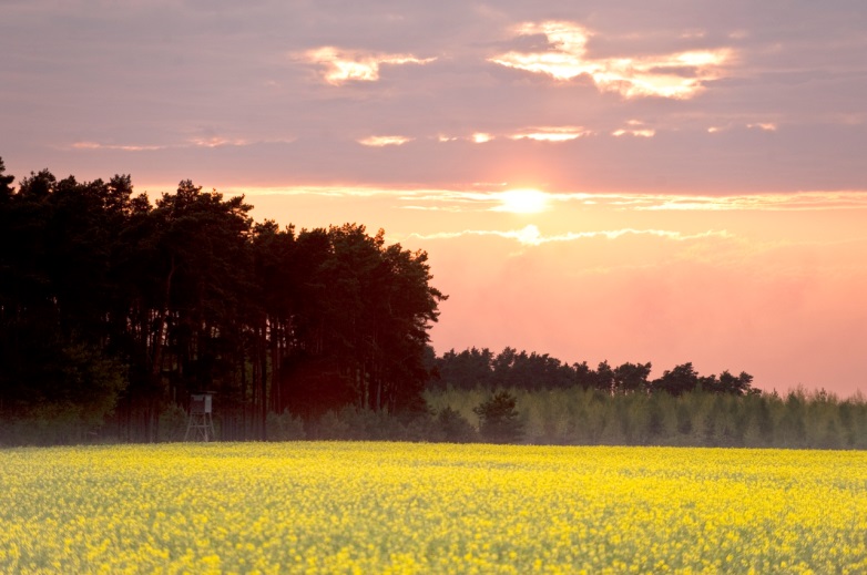 Central Europe