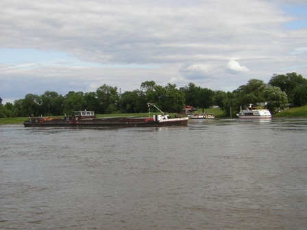 Mitttlere Elbe bei Aken