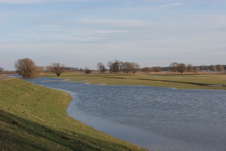 Auen an der Mittelelbe, Foto M. Scholz