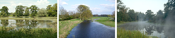 Kollage Bilder Elbe