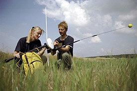 Felduntersuchungen in den Elbauen