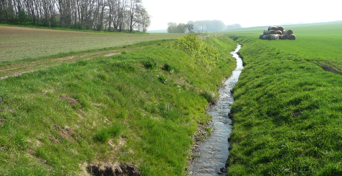 kleiner Bach kleiner Bach