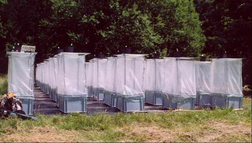 mesocosms mesocosms